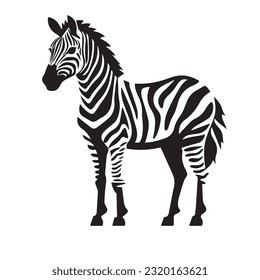 zebra black and white vector illustration 