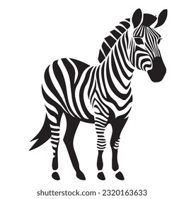 zebra black and white vector illustration 