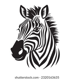 zebra black and white vector illustration 