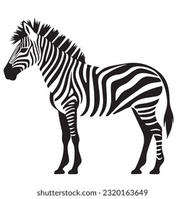 Zebra-Schwarz-Weiß-Vektorgrafik 