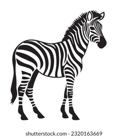 zebra black and white vector illustration 