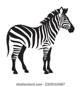 zebra black and white vector illustration 