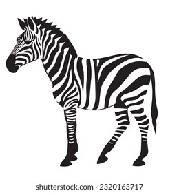 zebra black and white vector illustration 
