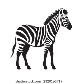 zebra black and white vector illustration 