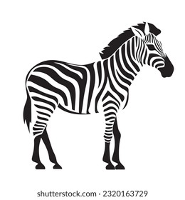 zebra black and white vector illustration 