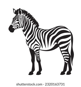 zebra black and white vector illustration 