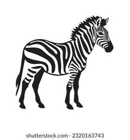 Zebra-Schwarz-Weiß-Vektorgrafik 