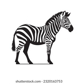 zebra black and white vector illustration 