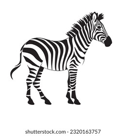 zebra black and white vector illustration 