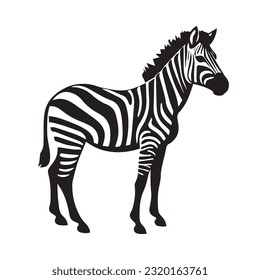 zebra black and white vector illustration 