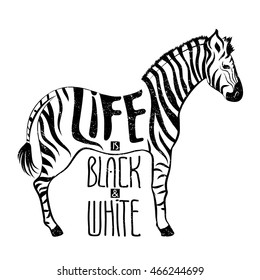 Zebra, black-n-white life concept drawing, hand drawn illustration