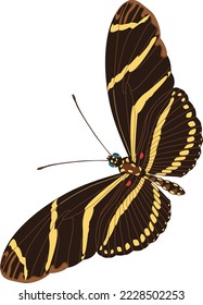 Zebra Butterfly in Flight Vector Illustration