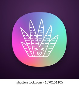 Zebra cactus app icon. Cacti with laughing face. Happy wild Haworthia. Small succulent plant with squinting eyes. UI/UX user interface. Web or mobile application. Vector isolated illustration