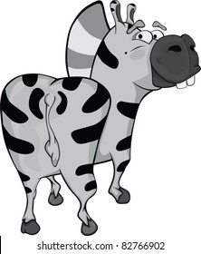 Zebra. Cartoon