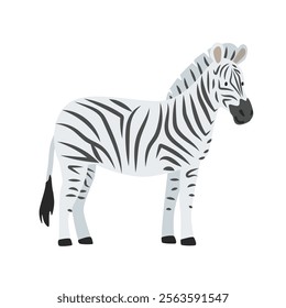 Zebra cartoon clipart. Zebra vector illustration in flat style. Hand-drawn wild animal concept