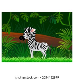 Zebra cartoon on forest background