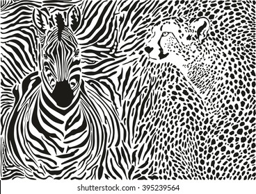 Zebra and cheetah and pattern background