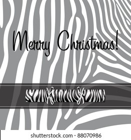 Zebra Christmas cracker card in vector format.