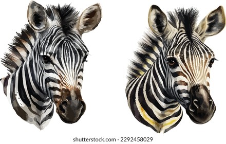 Zebra clipart, isolated vector illustration.