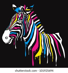 Zebra with colored stripes with black background. Abstract safari animal design with smudges