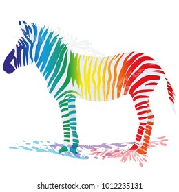 Zebra with colored stripes and creativity