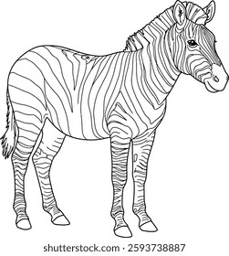 A zebra coloring page for kids