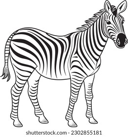 A Zebra, a colouring book for kids, easy to colour, vector illustration, Vector, Annimals