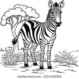 Zebra, colouring book for kids, vector illustration