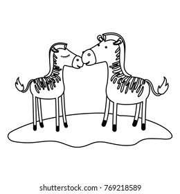 zebra couple over grass in monochrome silhouette