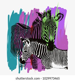 Zebra couple vector illustration on a colourful background