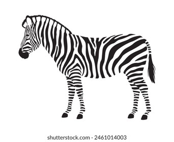 Zebra created from zebra's skin patterns, vector illustration isolated on white background, eps