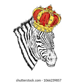 A zebra in the crown. Vector illustration.