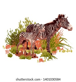 Zebra and the cub standing in steppe landscape. Vector graphics drawn in the technique of rough brush in calm colors