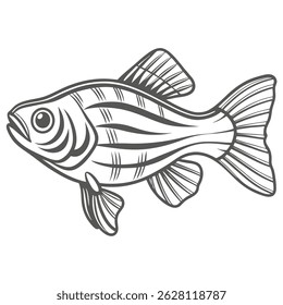 Zebra Danio Fish Outline Illustration Vector