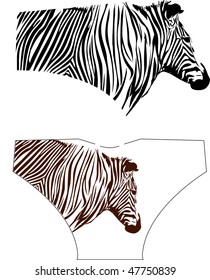zebra design