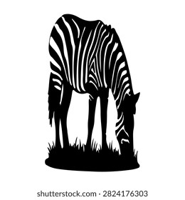 A zebra with distinctive black and white stripes grazing on grass in a natural setting, showcasing wildlife and animal behavior.