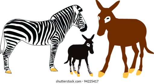 zebra and a donkey with a calf