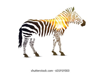 Zebra. Double exposure. Stripes with sunset landscape.