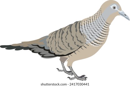 Cebada cebra, fauna silvestre de aves, vector