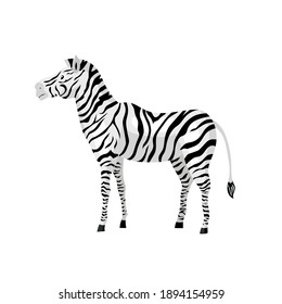 Zebra auf weißem Hintergrund, Vektorgrafik