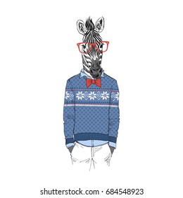 zebra dressed up in winter jacquard sweater , furry art illustration, fashion animals