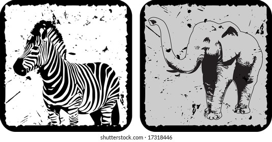 zebra & elephant grungy vector illustration