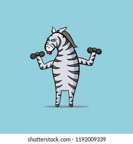 Zebra is engaged in sports - raises dumbbells. Vector colored cartoon illustration.