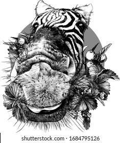 Zebra face nose and mouth close up looking at the camera strong perspective round composition decorated with flowers and strawberry leaves, sketch vector graphics monochrome illustration on a white