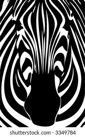 zebra face run animal white exotic wild black expedition leather africa african wilderness silhouette fur hair art skin patterned lined patterns painting stripes zebra science backgrounds strip course