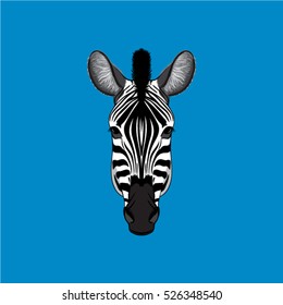 Zebra Face Vector