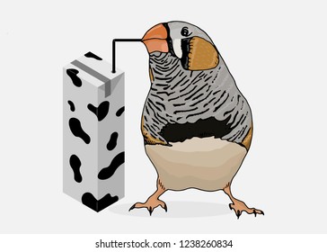 Zebra finch bird drinking milk. Hand drawn style print. Postcard, card, poster design, website design, logo, banner. Vector , eps 10