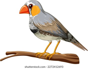 The zebra finch bird standing on the white background illustration