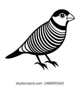 Zebra Finch Silhouette Artistic Nature Design