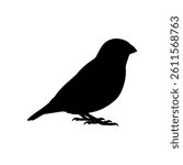 Zebra finch silhouette vector flat illustration design.